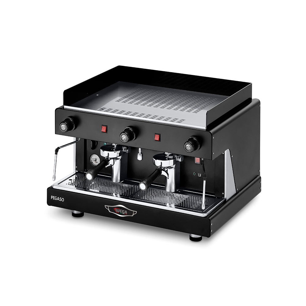 WEGA Pegaso EPU Espresso Machine